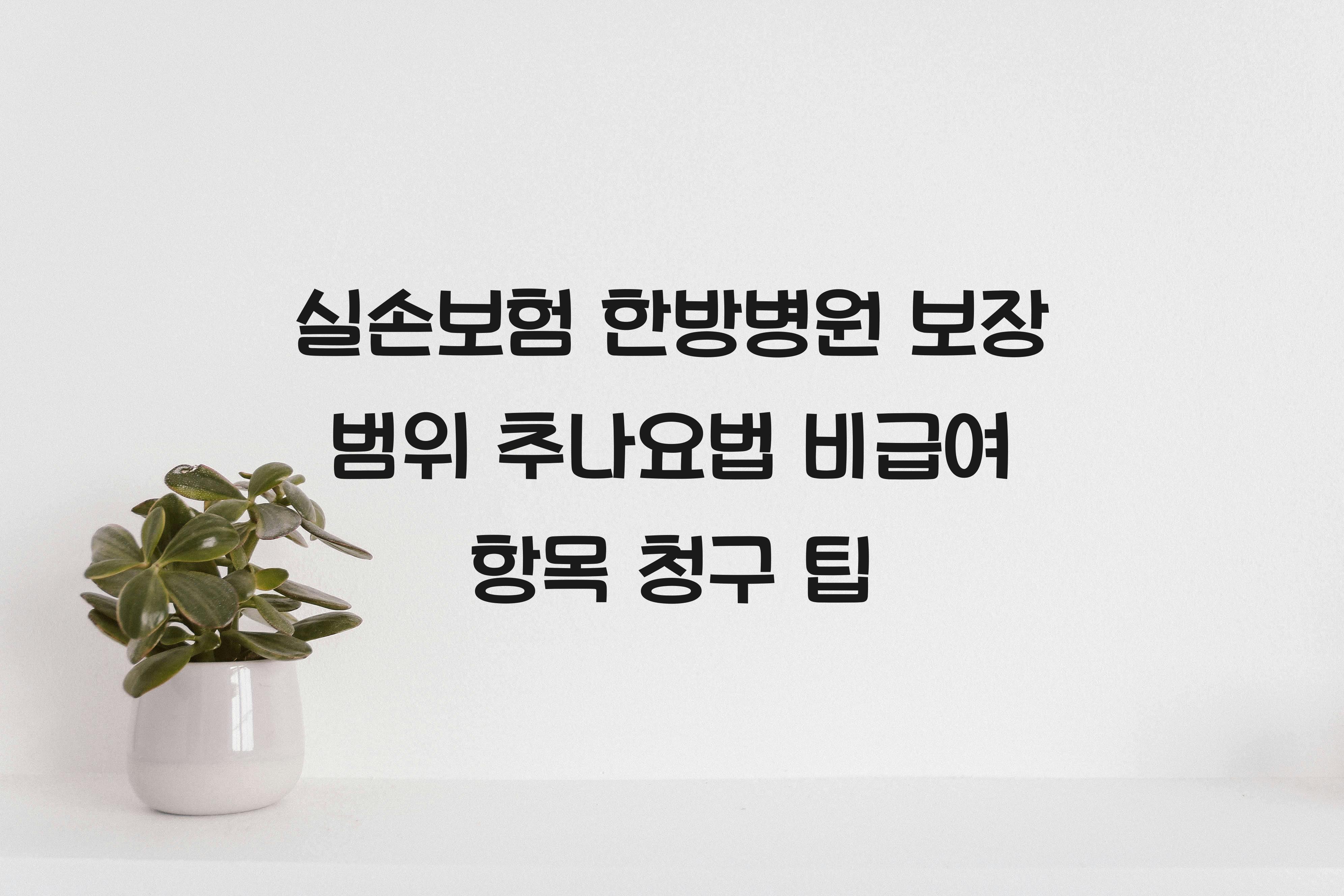 실손보험 한방병원 보장