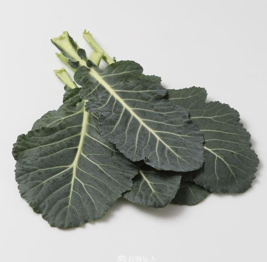 황반변성에 좋은 음식