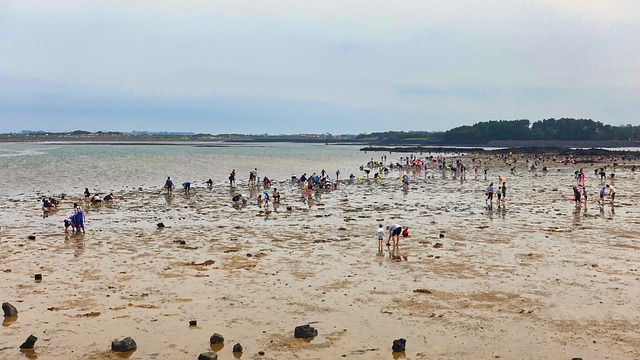 신 송도해변축제