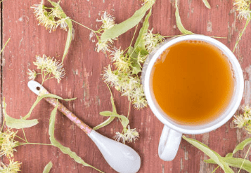 우엉차 효능 10가지 및 부작용