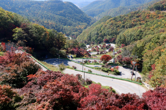 충청도 숨은 단풍 명소 6곳 – 한적하고 예쁜 가을 여행지 추천