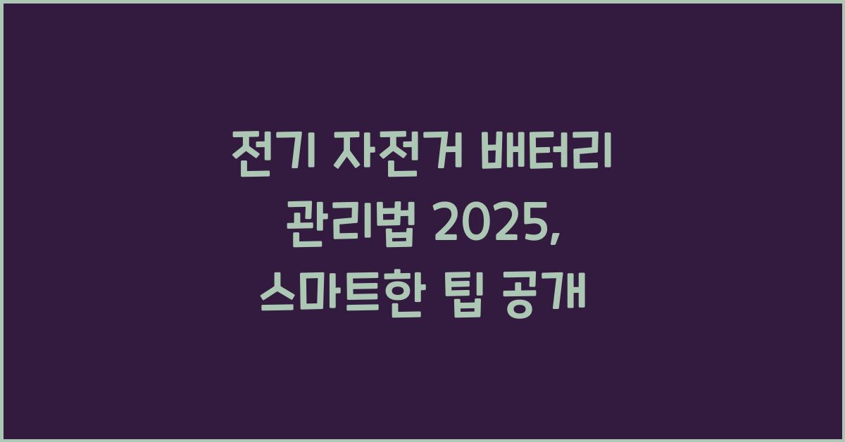 전기 자전거 배터리 관리법 2025