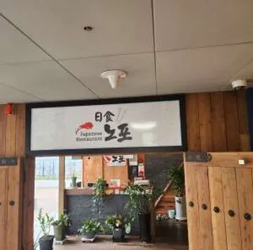노포일식
