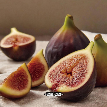 무화과 재배방법