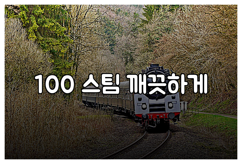 100 스팀 깨끗하게