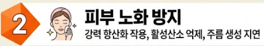 당근 효능