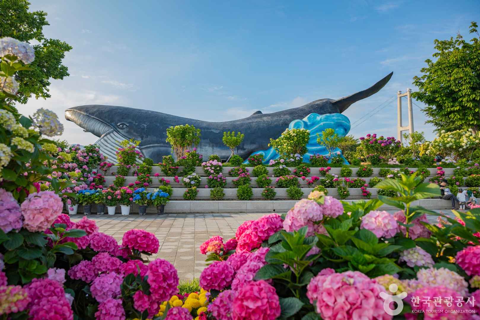 장생포 수국축제