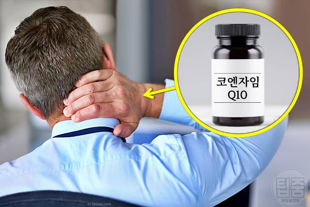 혈압 낮추는 영양제 고혈압영양제 추천 코엔자임q10