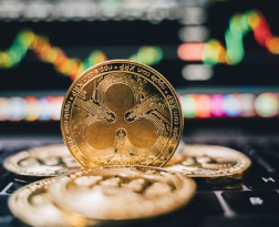 파이코인 상장 시기와 시세 전망