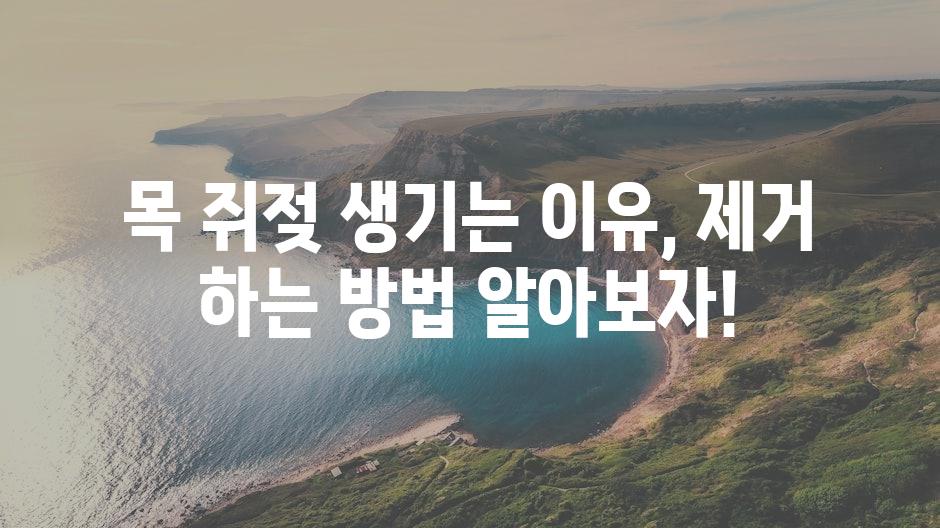 샘플 (11)