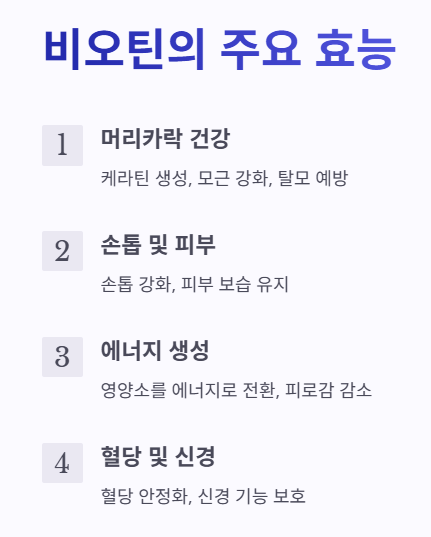 비오틴의 주요 효능