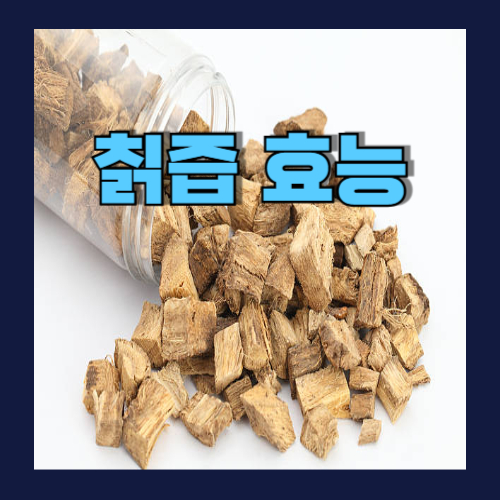 칡즙 효능