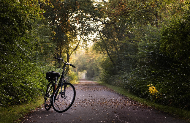 노원구 수락휴 예약