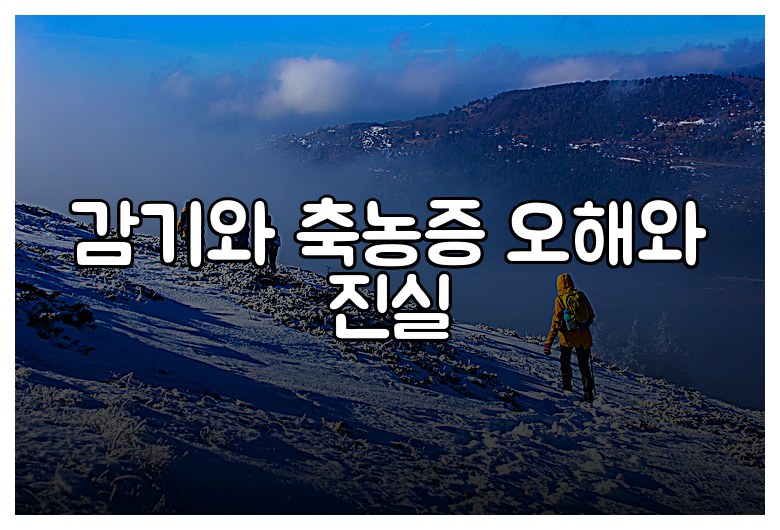 감기와 축농증 오해와 진실