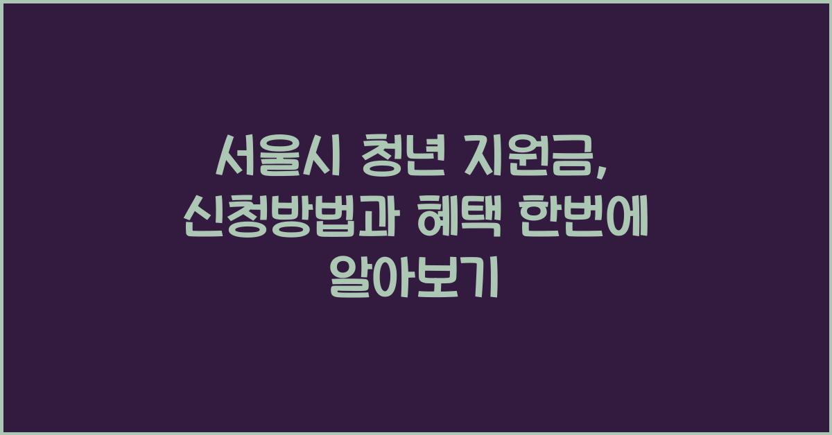 서울시 청년 지원금