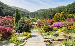 5월에 방문하는 축제 BEST 7