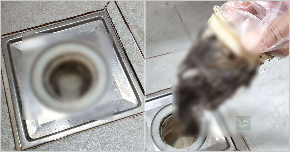 어마무시한 머리카락들