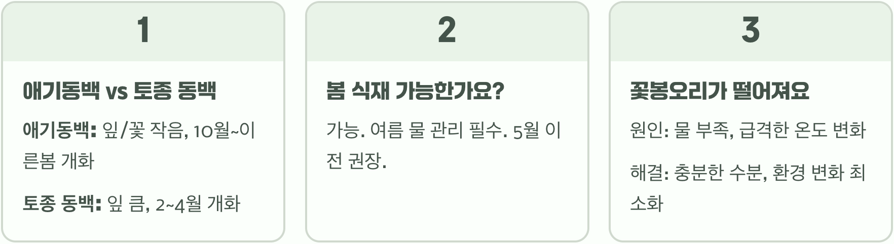 애기동백나무 심는 시기, 가을 식재가 최고인 이유