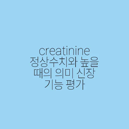 creatinine 정상수치와 높을 때의 의미 신장 기능 평가