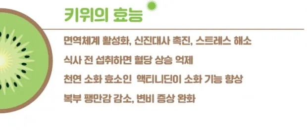 키위 효능과 부작용 비타민 풍부한 과일 정보_5