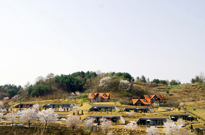 도봉 자연힐링 가족캠핑장 예약 방법&amp;#44; 요금 총정리