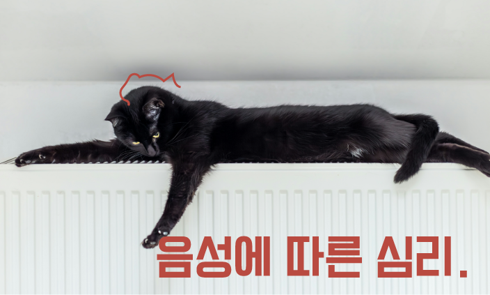 고양이-행동언어