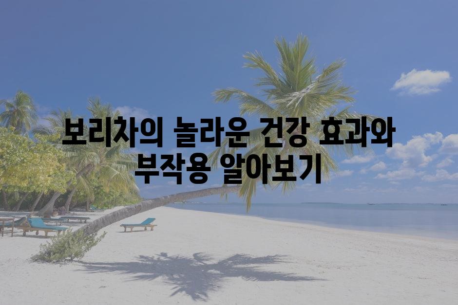 샘플 (79)