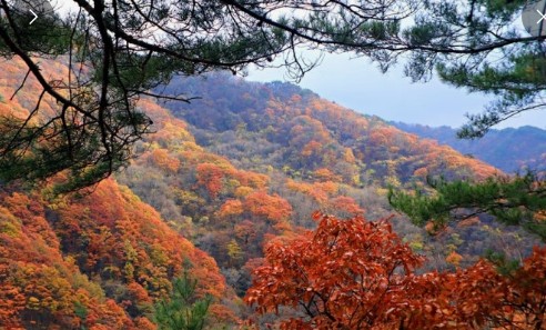 10월 국내여행지 베스트10. 지리산 국립공원 (전남/경남/전북)