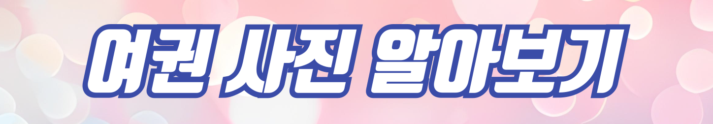 여권 사진 규격