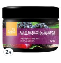 토종마을 발효복분자농축분말 국산 고창산, 120g, 2개