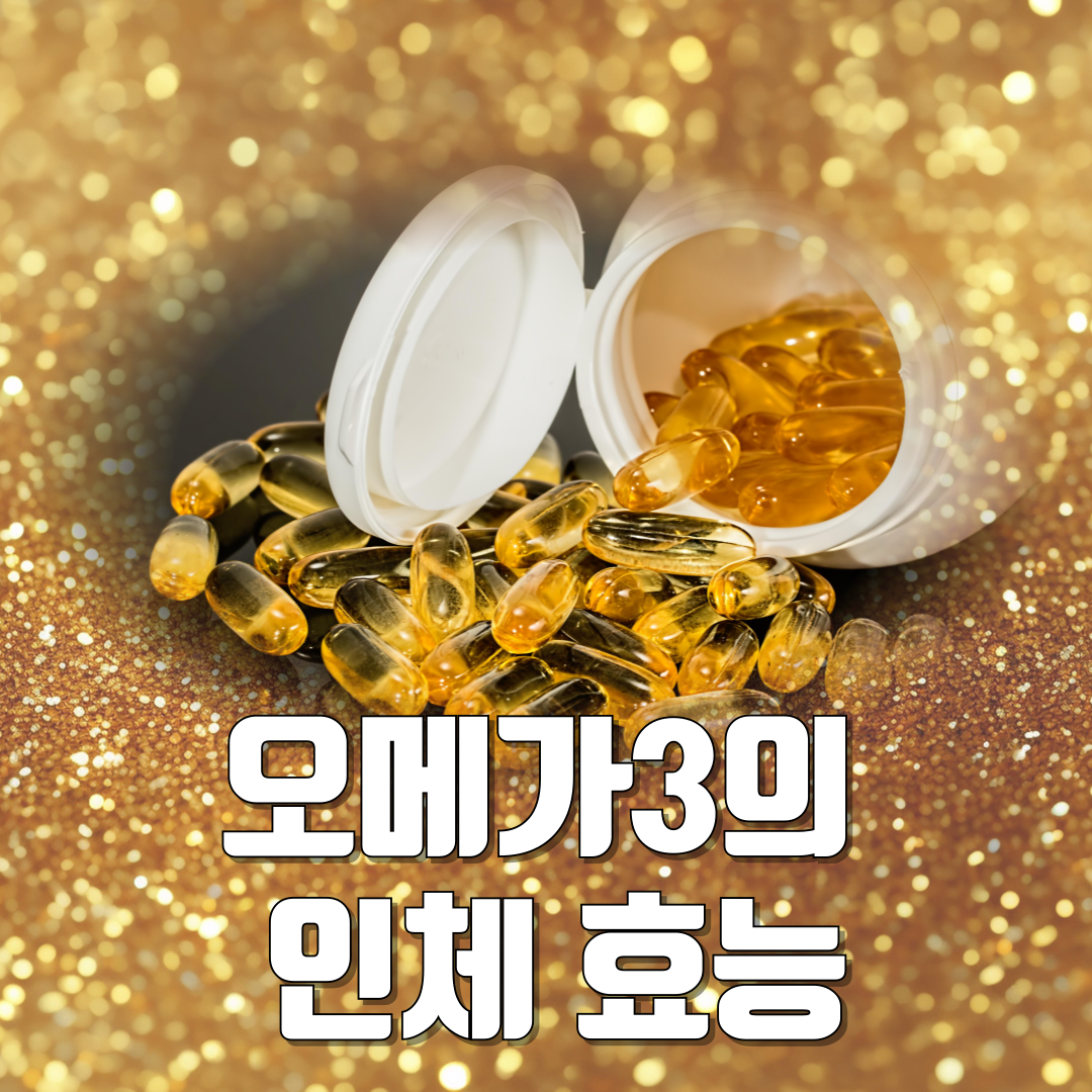 오메가3의 인체효능