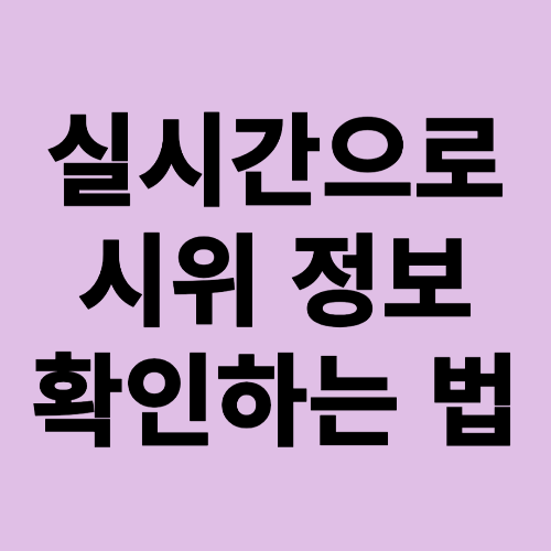 서울 도심 교통 통제, 실시간 시위 정보 확인하는 법