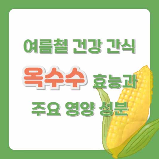 여름철 건강 간식 옥수수 효능과 주요 영양 성분