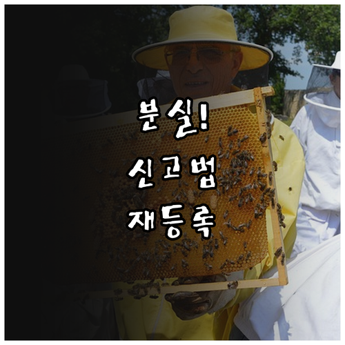 기후동행카드 분실 신고부터 새 카드 ..