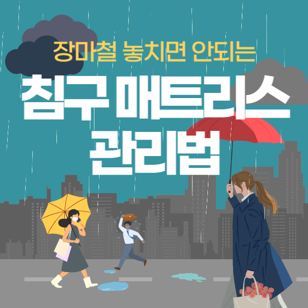 장마철 침구 매트리스 관리법
