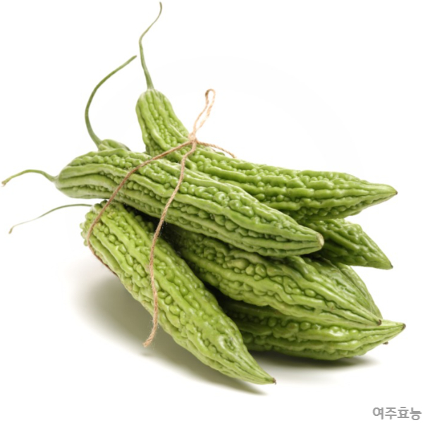 여주 효능│여주 효능 알고 드세요!