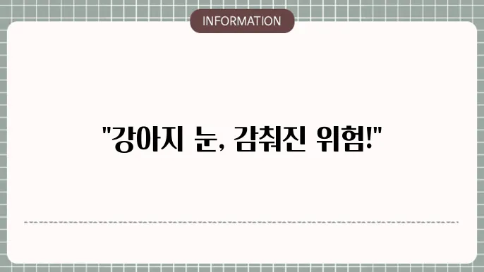 강아지 백내장 검사: