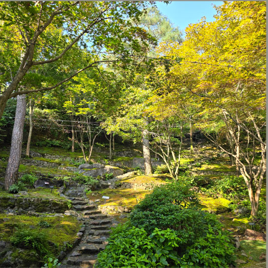 화담숲 모노레일 예약방법