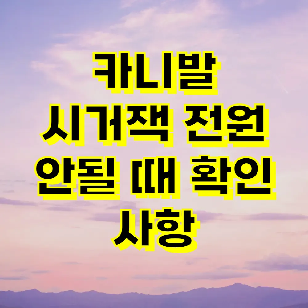 카니발 시거잭 전원 안될 때 확인 사항