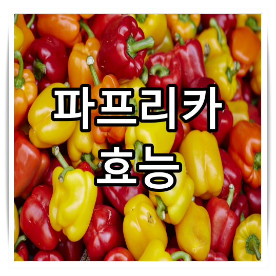 파프리카 효능
