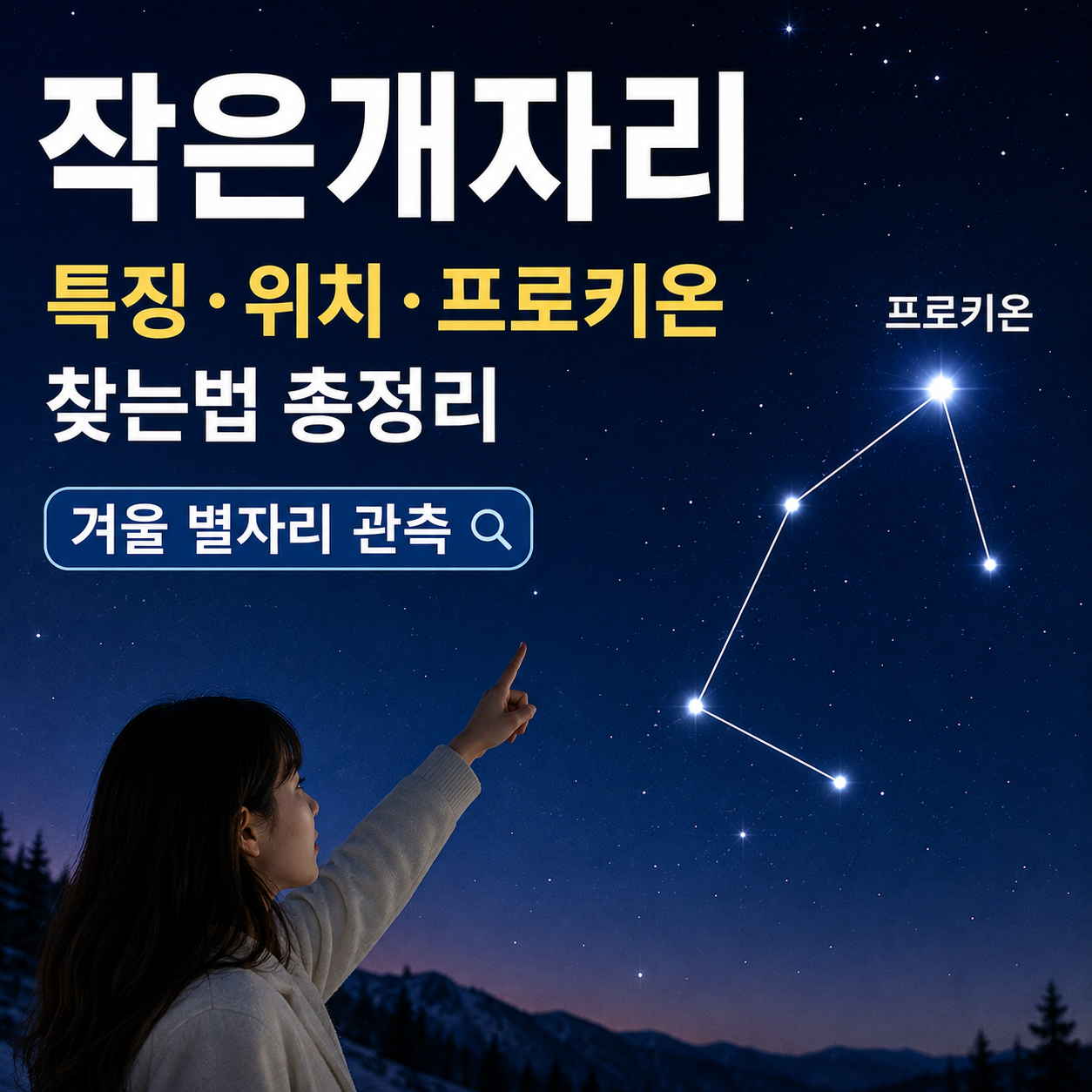 작은개자리