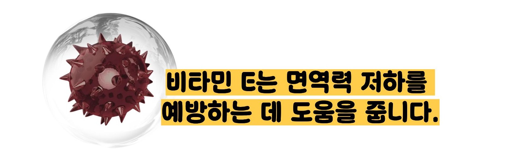 비타민e의 효능