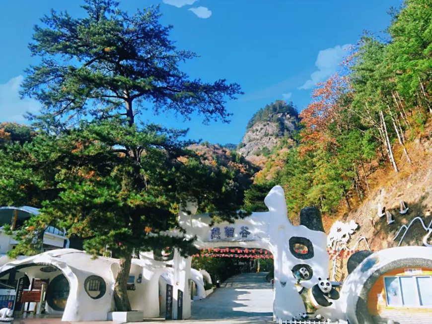 2024 가을 캠핑 준비물