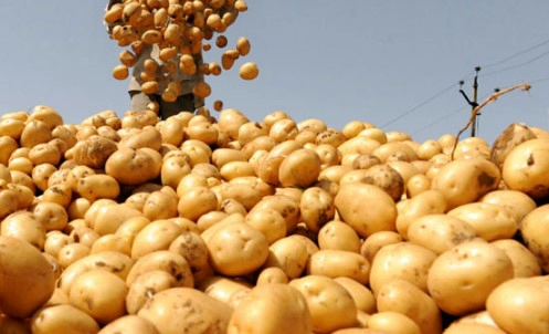 5월 제철음식 효능