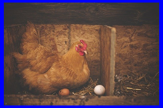 2021년 삼재띠 의미