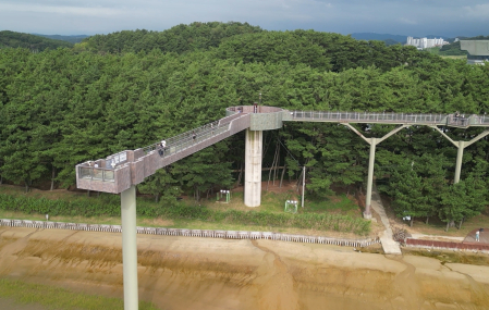 장항 스카이워크