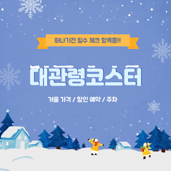 대관령 코스터 겨울 가격