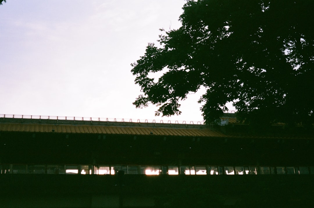 Tottenham