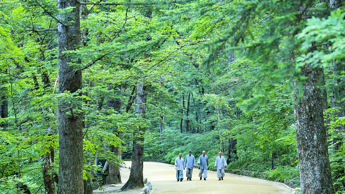 홍천 가볼만한곳 베스트10