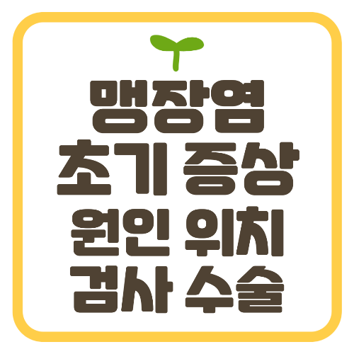 맹장염 초기 증상 원인 위치 검사 수술